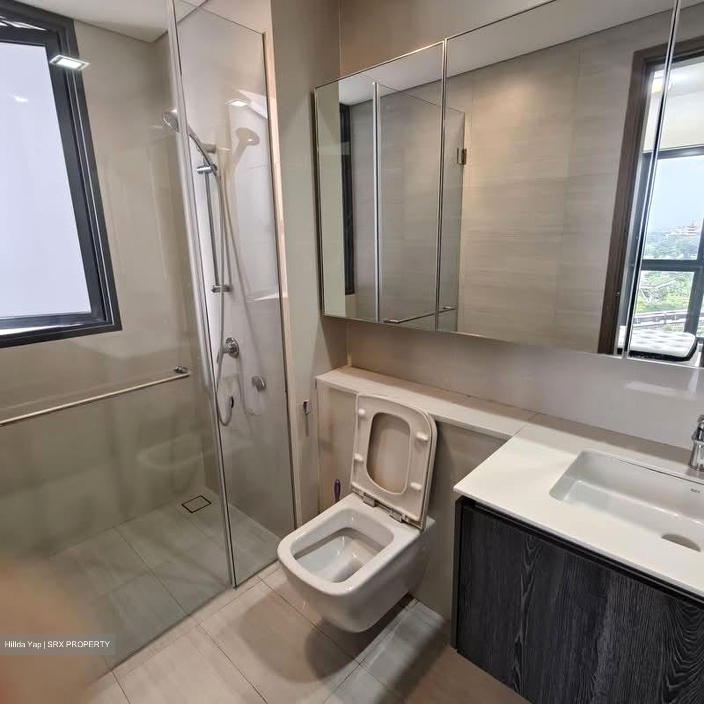 Lakeville (D22), Condominium #576155201